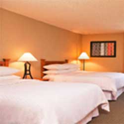 6401 veterans blvd 504 885 5700 single 11900 double 11900 website map the wyndham garden new orleans airport - Wyndham Garden New Orleans Airport 6401 veterans blvd 504 885 5700 single 11900 double 11900 website map the wyndham garden new orleans airport - Wyndham Garden New Orleans Airport